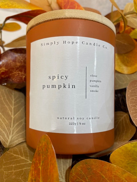 Spicy Pumpkin (clove + pumpkin + vanilla + smoke)